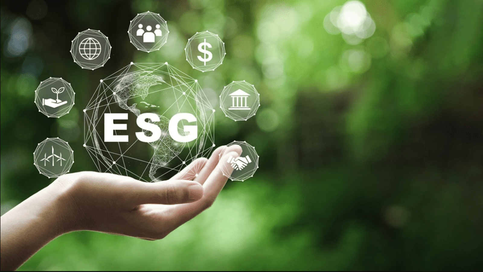 ESG Maturity Assessment